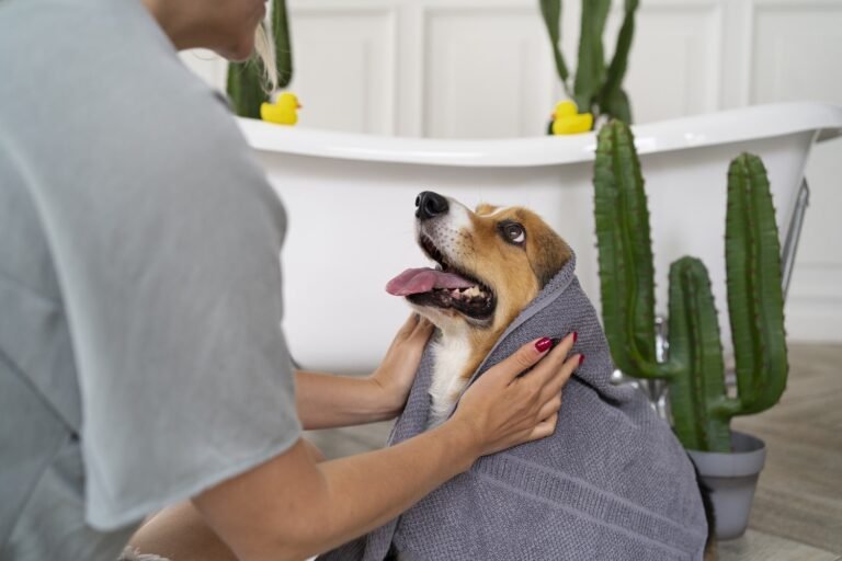 A Guide for Preventing Skin Problems in Your Pet